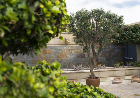 Árbol artificial en maceta decorando un patio con pared de piedra y vegetación, ideal para proyectos de interiorismo y espacios exteriores.