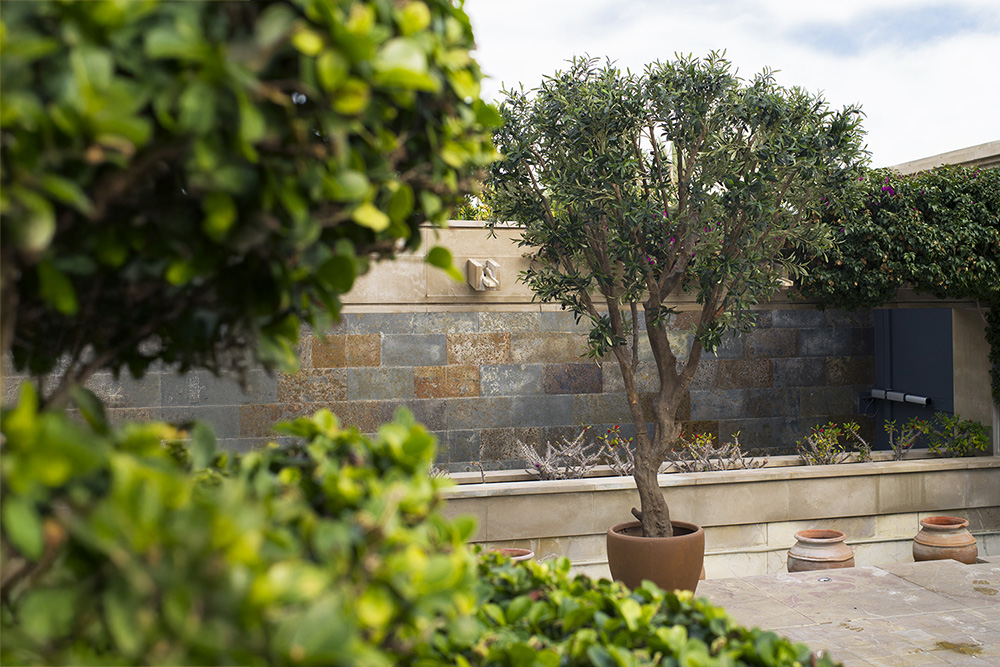 Árbol olivo artificial en maceta decorando un patio con pared de piedra y vegetación, ideal para proyectos de interiorismo y espacios exteriores.