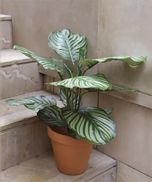 plantas_artificiales_ignifugas_alta-calidad_proteccion-uv_lidexgroup_importador_01 copy