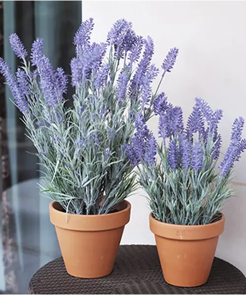 plantas_artificiales_ignifugas_alta-calidad_proteccion-uv_lidexgroup_importador_06