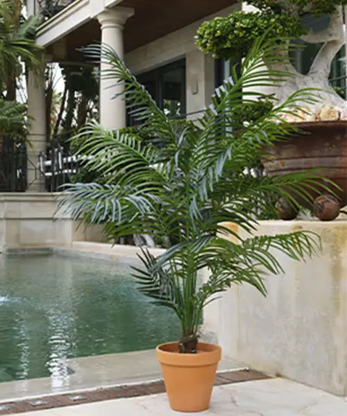 plantas_artificiales_ignifugas_alta-calidad_proteccion-uv_lidexgroup_importador_08